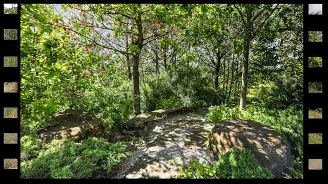 Прогулка по саду №34 1 смотреть онлайн