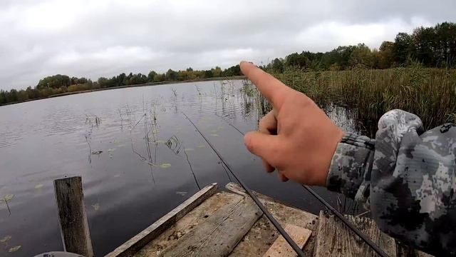 РЫБАЛКА НА ЛИНЯ В СЕНТЯБРЕ! РЫБАЛКА НА ПОПЛАВОК смотреть онлайн