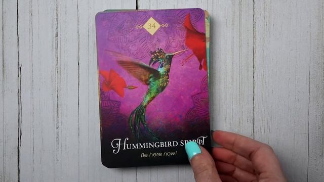 The Spirit Animal Oracle Deck Flip Through смотреть онлайн