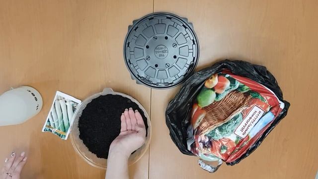 Сажаем лук Порей. Подготовка к дачному сезону #порей #дача #сезон #садовод #лук #рассада смотреть онлайн