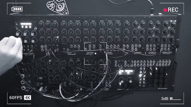Playing With Erica Synths Techno System