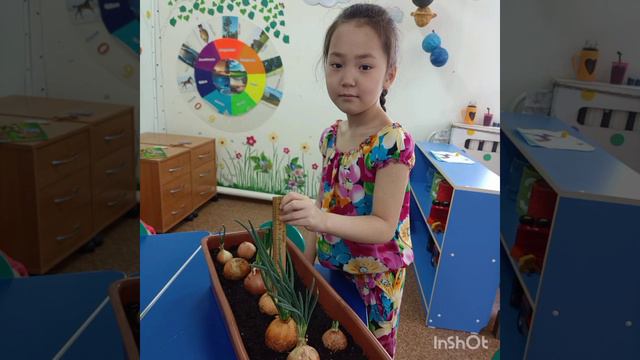 день здоровья - лук полезный овощ смотреть онлайн