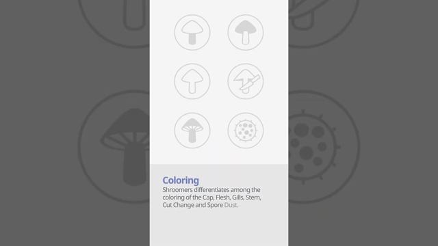 Sickener (Russula emetica) | Coloring | Practical Short Profile | Shroomers смотреть онлайн