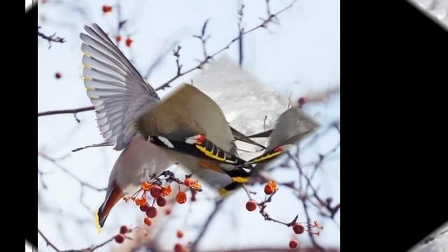 Стихи для детей 2013г смотреть онлайн