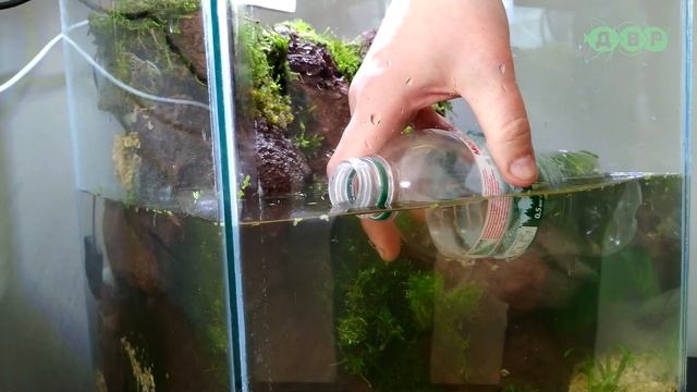 ПОДАРИЛ АКВАРИУМ  КАНАЛУ МИЛЛИОННИК HUSMUT: ХАСМУТ / ХАСки и малаМУТ/