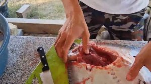 Скат черноморский мега полезно