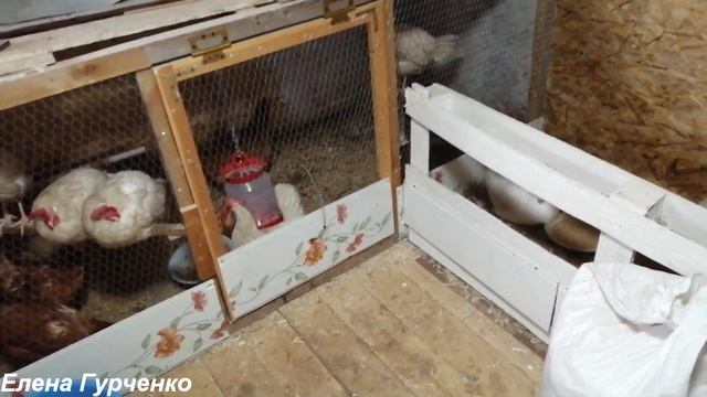 Работа кипит//Китайские поделки в виде дверей)) смотреть онлайн