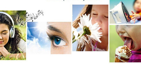 9.2.Чувственное познание и его формы.mov смотреть онлайн