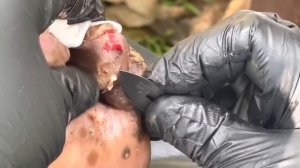 Throwing in a random jigger video