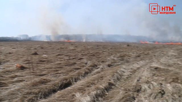 Пожароопасный режим в лесах смотреть онлайн