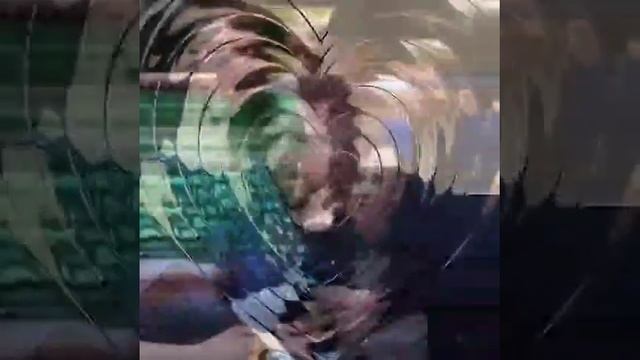 Ленинград.В Питере пить.#ленинград#сергейшнуров#сергей_шнуров#шнуров#шнур#группировкаленинград