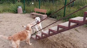 Компашка в сборе