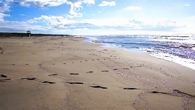Spiaggia Marina di Vecchiano, Torre del Lago, Italy смотреть онлайн