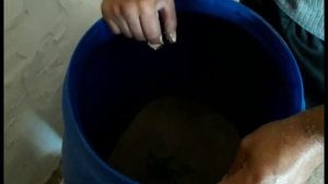 Как ставить брагу рецепт и описание