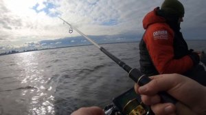 В поисках судака на Финском заливе. (Канонерка)