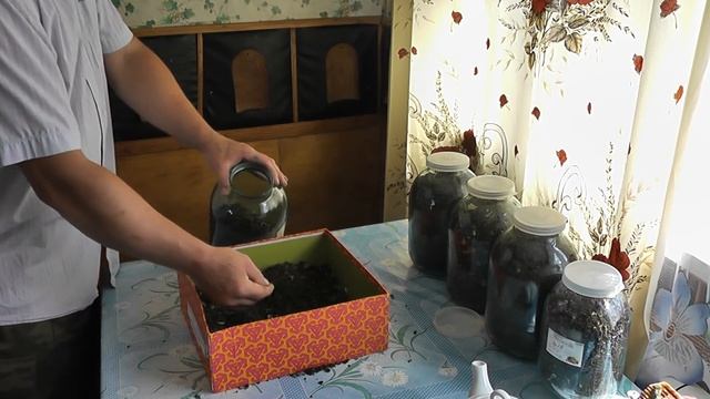 ИВАН-ЧАЙ (последний штрих) смотреть онлайн