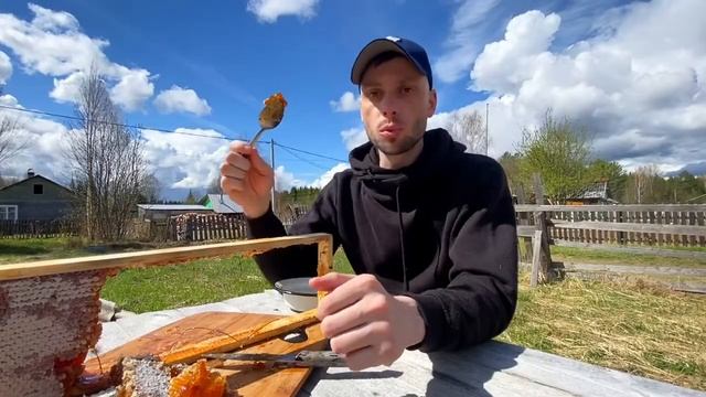 Отдыхаем в деревне или как есть сотовый мёд. (Полезные свойства сотового мёда).Влог 6