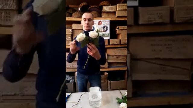 Способы очистки искусственных цветов смотреть онлайн