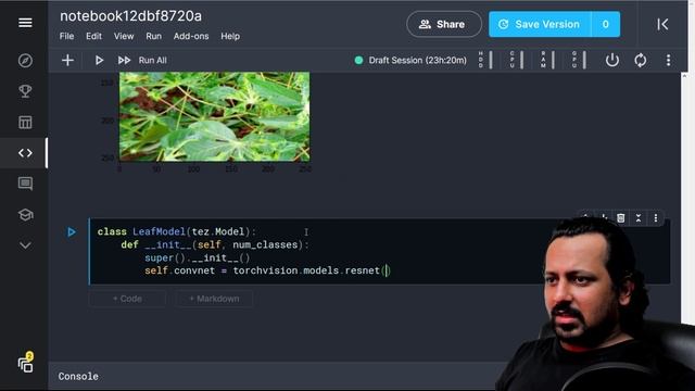 Leaf Disease Classification Using PyTorch смотреть онлайн