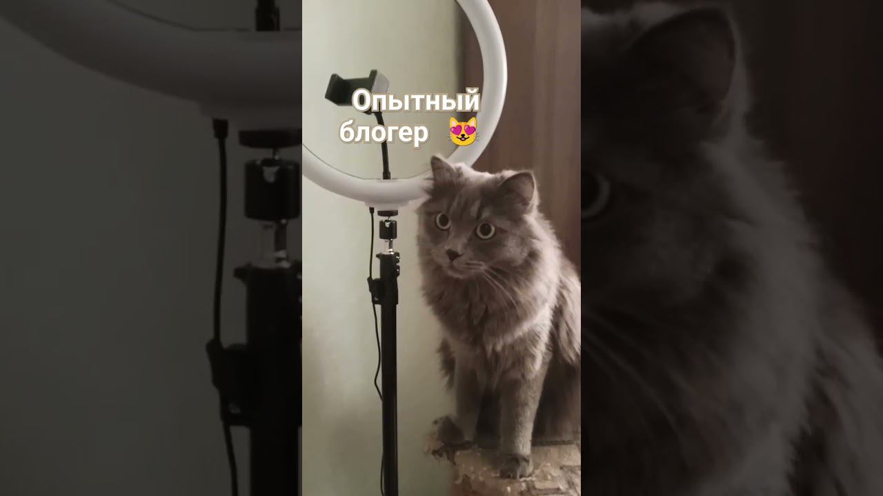 я блогер смотреть онлайн