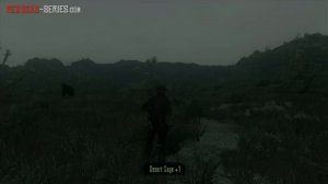 Flowers for a Lady - Stranger Mission - Red Dead Redemption