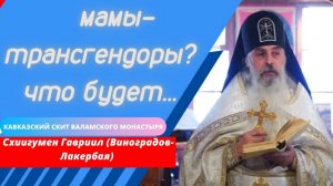 Поругаемая высота женщины. Схиигумен Гавриил (Виноградов -Лакербая)