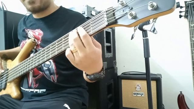 Bartolini DL5CBC bridge, 76DL5C neck pickup & HR-3.3AP/918 2 band EQ 18 volts preamp смотреть онлайн