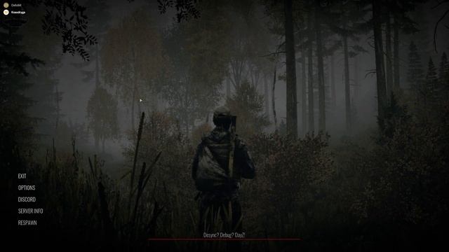 DayZ Путешествие в лаги сервера или как спалить мою жопу смотреть онлайн