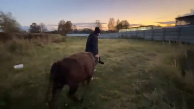 О ТАКИХ ЛЮДЯХ НИКТО НЕ ГОВОРИТ! НАША ФЕРМА! ЖИЗНЬ ПРОСТЫХ ЛЮДЕЙ В ДЕРЕВНЕ! смотреть онлайн