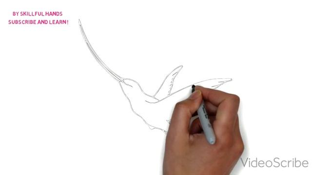 How to Draw a Colibri / Как нарисовать колибри смотреть онлайн
