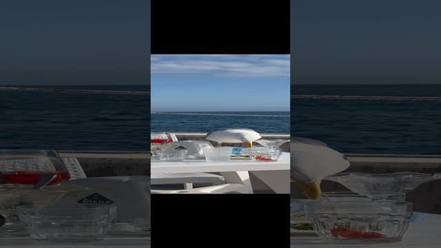 Посетители ушли две минуты назад и чайка, которая следила за их столом, решилась на воровство 😂