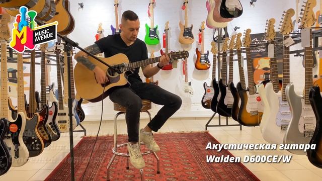 Акустическая гитара Walden D600CE/W с чехлом в комплекте смотреть онлайн
