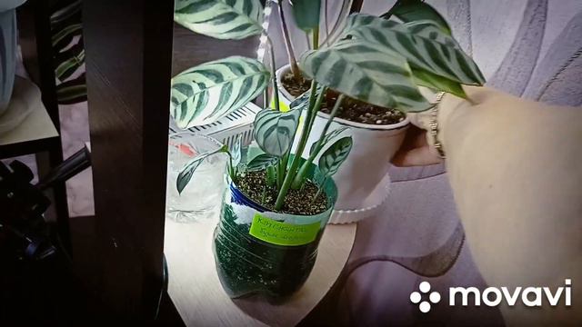 Спасибо всем за помощь! смотреть онлайн