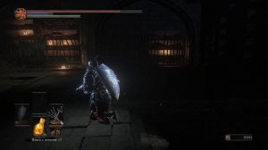 Прохождение Dark Souls 3: Ashes of Ariandel [DLC] — Часть 3:БОСС: ОТЕЦ АРИЕНДИЭЛЬ И СЕСТРА ФРИДЕ