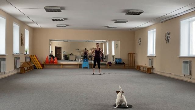 Как научить собаку командам Дрессировка собаки Танцы с собакой Терра. Элементы 06.01.2023 г. смотреть онлайн