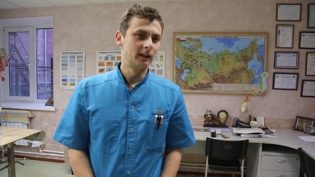 Почему собака-проводник, а не поводырь? смотреть онлайн