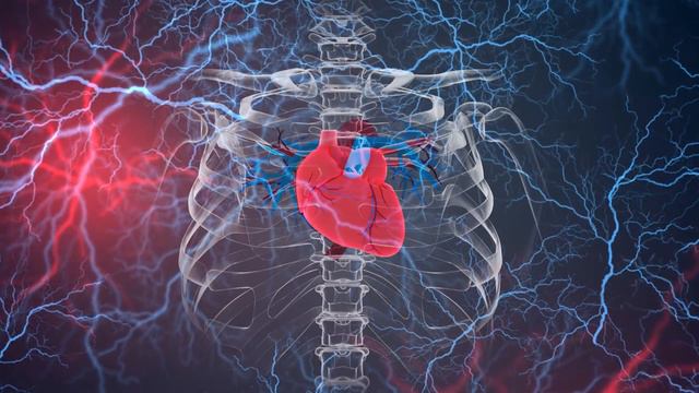 почему у тебя дефицит магния смотреть онлайн