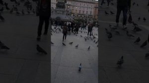 Милан. Дуомо. Кафедральный собор. Италия