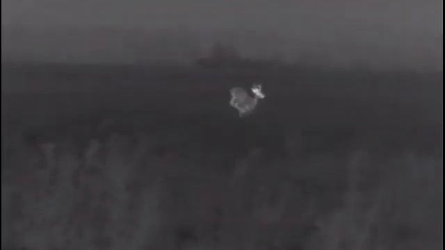 Pulsar helion XQ38F смотреть онлайн