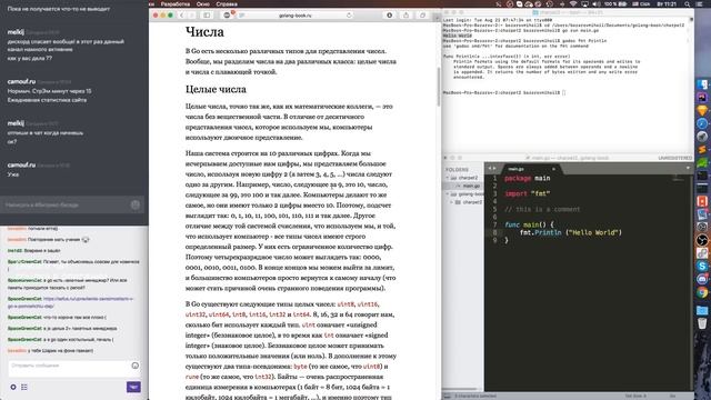 1) Изучаем #GoLang по учебнику смотреть онлайн