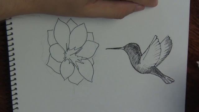 Как рисовать цветок и птичку колибри. Hand drawn hummingbird смотреть онлайн