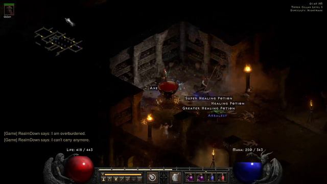 D2R Single Player - Ep 4 - Countress farming, getting that Insight смотреть онлайн