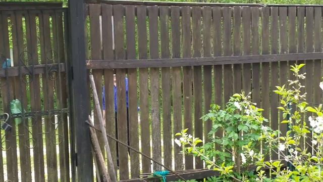 Дачный денек с утра до вечера... смотреть онлайн