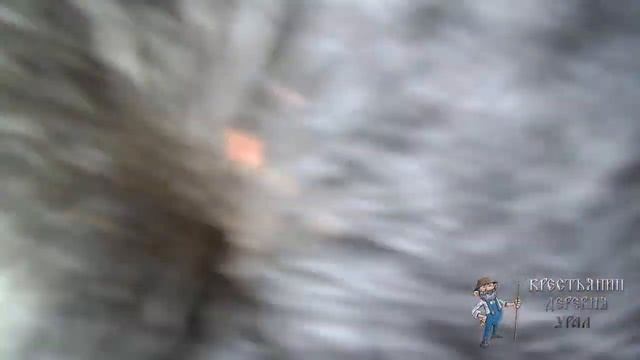 Как выпоить телёнка без молока смотреть онлайн