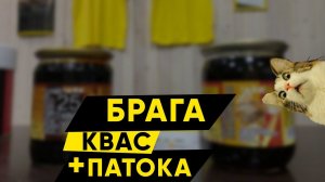 Брага из квасного сусла и мальтозной патоки!