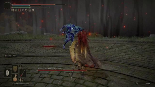ELDEN RING - Alecto,Black Knife Ringleader Boss Fight смотреть онлайн