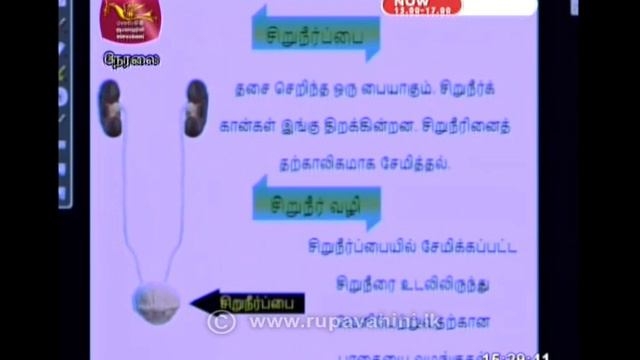 Gurugedara 2020 05 24 OL Science смотреть онлайн