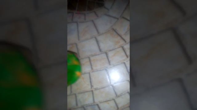 Часть 3 поделки для кукол из того что есть под рукой смотреть онлайн