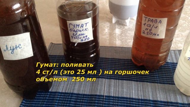 162. ЛУЧШИЕ средства ухода за рассадой в одном видео смотреть онлайн