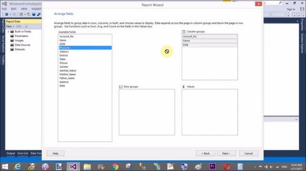 how to use report viewer in windows form c#